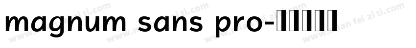 magnum sans pro字体转换